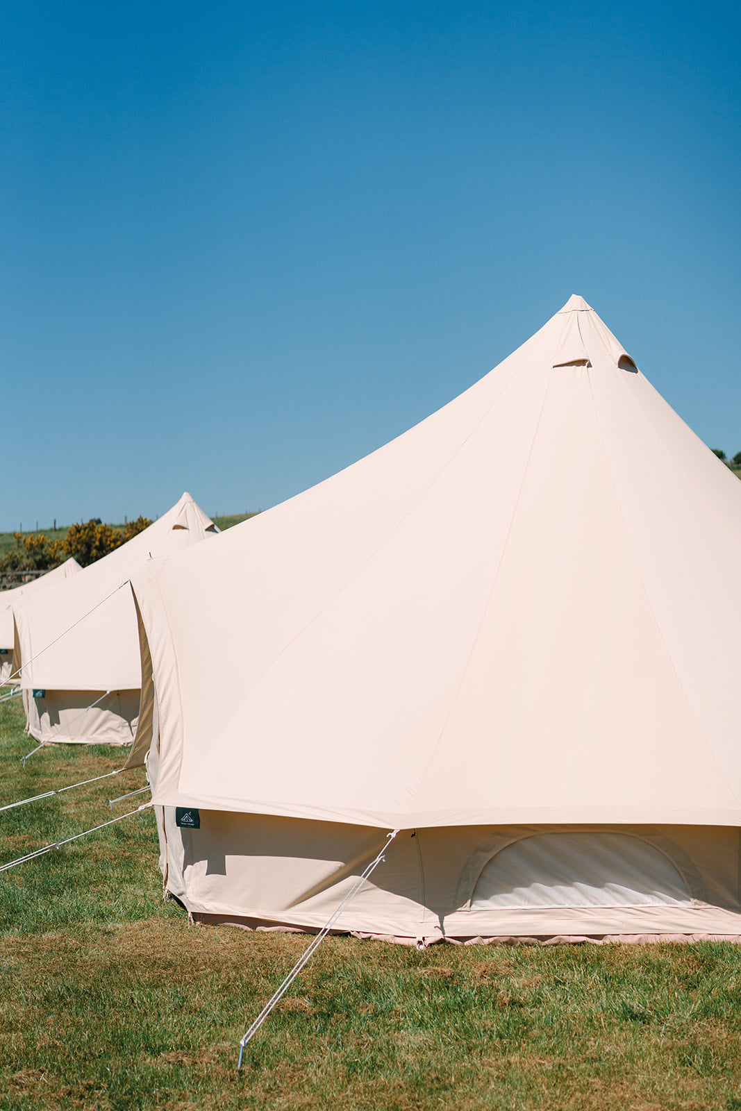 Tents