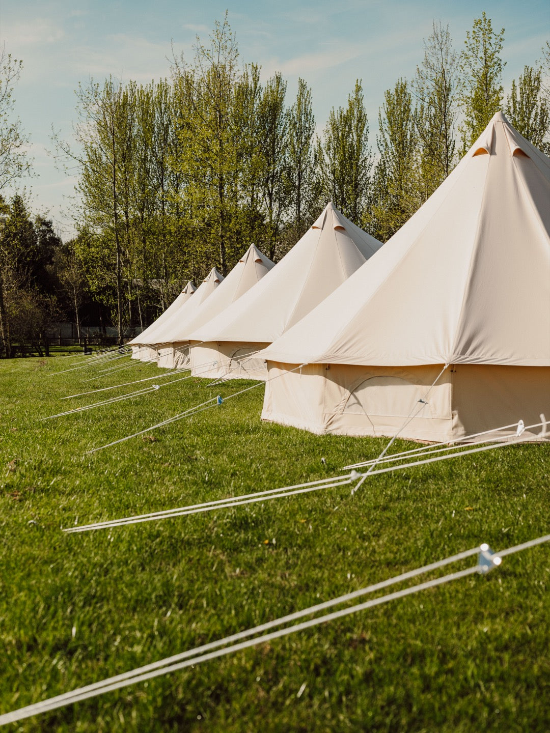 Row of 4m bell tents from The Bell Tent Shop